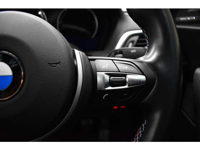 ＢＭＷ Ｍ２クーペ ３．０ H29年 (関東) 99