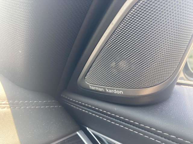 ＢＭＷ ７シリーズ ７４０Ｄ Ｘドライブ Ｍスポーツ ディーゼルターボ ４ＷＤ R3年 (近畿) 99