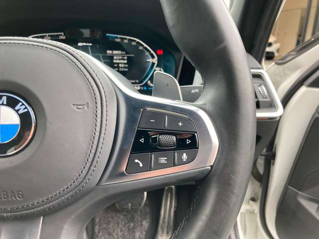 ＢＭＷ ３シリーズ ３３０ｅ　Ｍスポーツ R1年 (近畿) 99