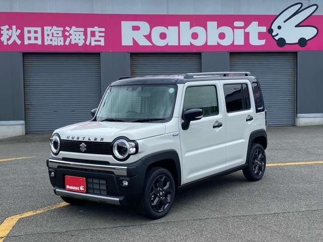 スズキ ハスラー ６６０ タフワイルド ４ＷＤ R6年 (東北) 99