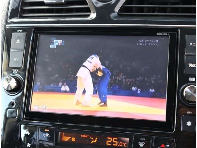 日産 セレナ ２．０ ライダー Ｓ－ＨＹＢＲＩＤ H25年 (関東) 99