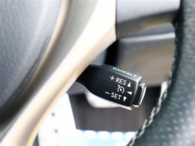 レクサス ＧＳハイブリッド ３００Ｈ Ｆスポーツ H26年 (関東) 99