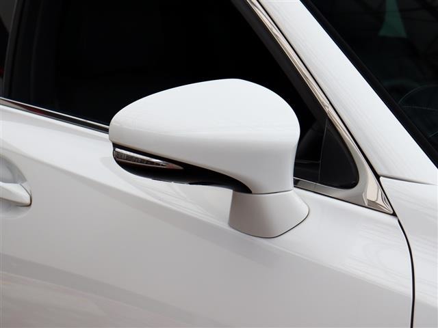 レクサス ＧＳハイブリッド ３００Ｈ Ｆスポーツ H26年 (関東) 99