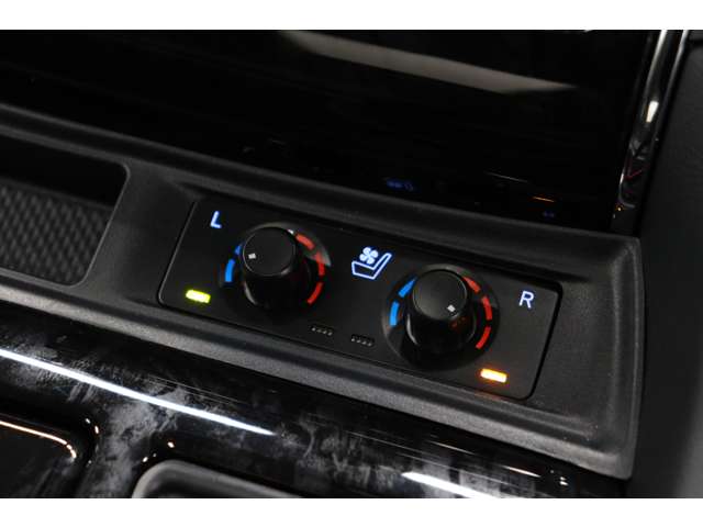 トヨタ アルファード ２．５ Ｓ Ｃパッケージ R4年 (東海) 99