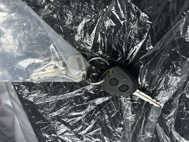 ダイハツ ハイゼットカーゴ ６６０ デラックス R5年 (東海) 99