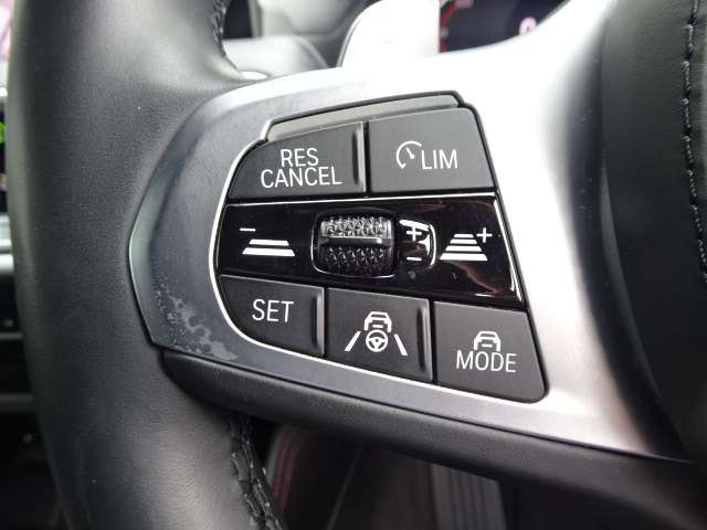 ＢＭＷ Ｘ４ Ｘドライブ２０Ｄ Ｍスポーツ ディーゼルターボ ４ＷＤ R3年 (近畿) 99