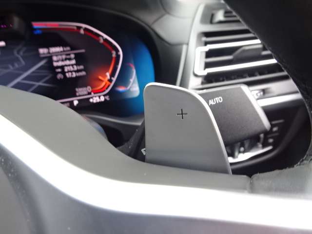 ＢＭＷ Ｘ４ Ｘドライブ２０Ｄ Ｍスポーツ ディーゼルターボ ４ＷＤ R3年 (近畿) 99