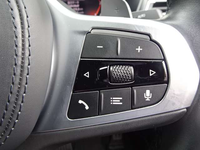 ＢＭＷ Ｘ４ Ｘドライブ２０Ｄ Ｍスポーツ ディーゼルターボ ４ＷＤ R3年 (近畿) 99