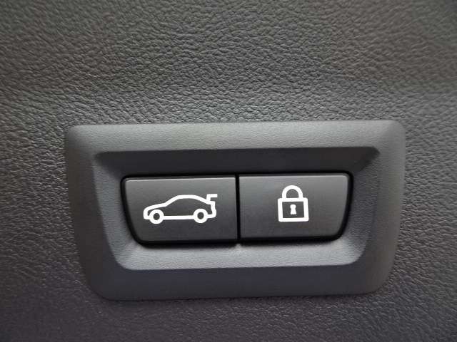 ＢＭＷ Ｘ４ Ｘドライブ２０Ｄ Ｍスポーツ ディーゼルターボ ４ＷＤ R3年 (近畿) 99