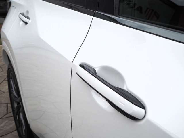 レクサス ＮＸ４５０ｈ＋ ４５０Ｈプラス Ｆスポーツ ４ＷＤ R5年 (近畿) 99