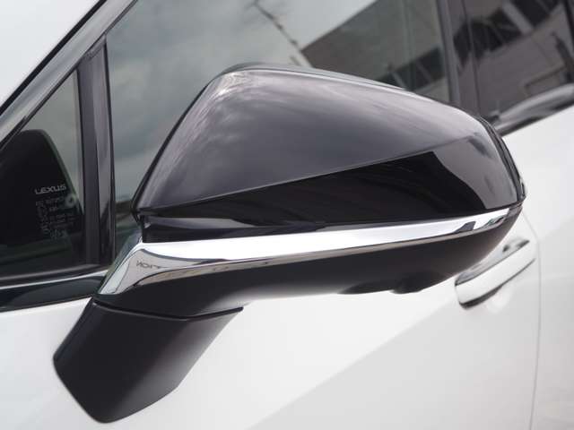 レクサス ＮＸ４５０ｈ＋ ４５０Ｈプラス Ｆスポーツ ４ＷＤ R5年 (近畿) 99