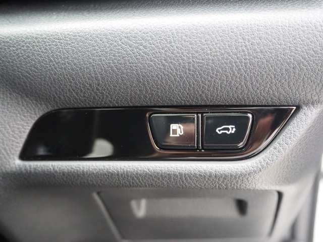 レクサス ＮＸ４５０ｈ＋ ４５０Ｈプラス Ｆスポーツ ４ＷＤ R5年 (近畿) 99