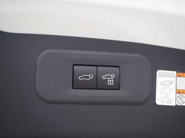 レクサス ＮＸ４５０ｈ＋ ４５０Ｈプラス Ｆスポーツ ４ＷＤ R5年 (近畿) 99