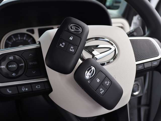 ダイハツ ムーヴ　キャンバス ６６０ ストライプス Ｇ R5年 (中国) 99