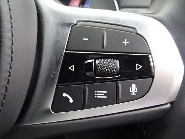 ＢＭＷ ３シリーズ ３３０ｅ　Ｍスポーツ R5年 (近畿) 99