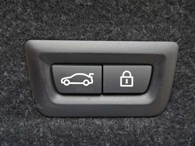 ＢＭＷ ３シリーズ ３３０ｅ　Ｍスポーツ R5年 (近畿) 99