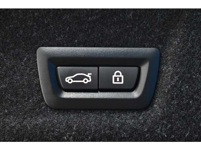 ＢＭＷ ３シリーズ ３３０ｉ　Ｍスポーツ R1年 (関東) 99