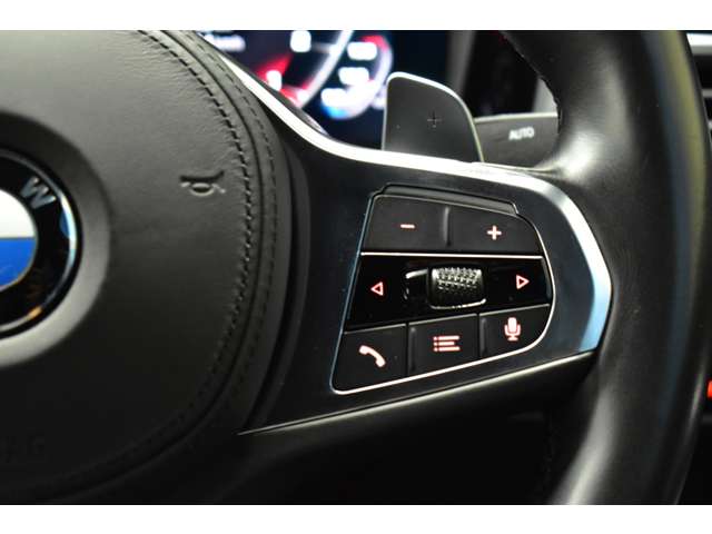 ＢＭＷ ３シリーズ ３３０ｉ　Ｍスポーツ R1年 (関東) 99