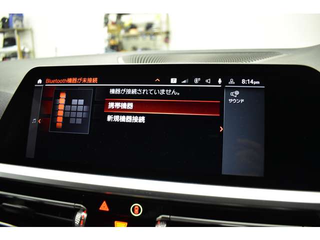 ＢＭＷ ３シリーズ ３３０ｉ　Ｍスポーツ R1年 (関東) 99