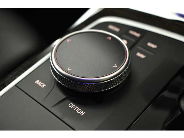 ＢＭＷ ３シリーズ ３３０ｉ　Ｍスポーツ R1年 (関東) 99