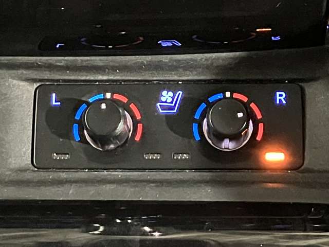 トヨタ ヴェルファイア ２．５ Ｚ Ｇエディション ４ＷＤ H30年 (北海道) 99