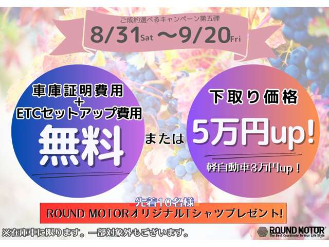 フォルクスワーゲン ＵＰ！ ＲＯＯＦ ＵＰ！ H29年 (近畿) 99