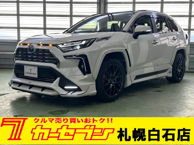 トヨタ ＲＡＶ４ ２．５ ハイブリッド Ｇ Ｅ－ＦＯＵＲ ４ＷＤ R4年 (北海道) 99
