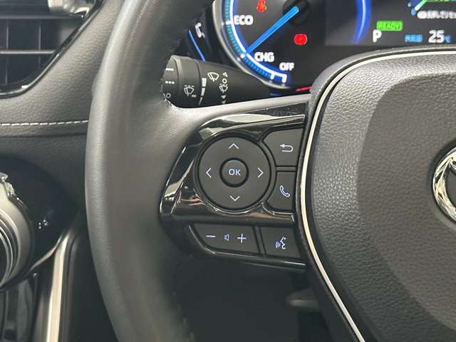 トヨタ ＲＡＶ４ ２．５ ハイブリッド Ｇ Ｅ－ＦＯＵＲ ４ＷＤ R4年 (北海道) 99