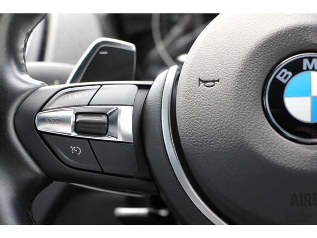 ＢＭＷ １シリーズ Ｍ１３５ｉ H28年 (関東) 99