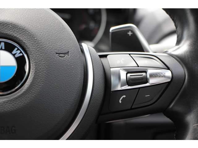 ＢＭＷ １シリーズ Ｍ１３５ｉ H28年 (関東) 99