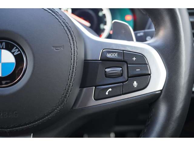 ＢＭＷ Ｘ３ Ｘドライブ２０Ｄ Ｍスポーツ ディーゼルターボ ４ＷＤ R1年 (近畿) 99