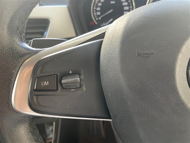 ＢＭＷ Ｘ２ Ｘドライブ２０Ｉ ４ＷＤ H30年 (東海) 99