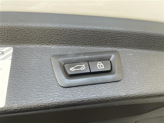 ＢＭＷ Ｘ２ Ｘドライブ２０Ｉ ４ＷＤ H30年 (東海) 99