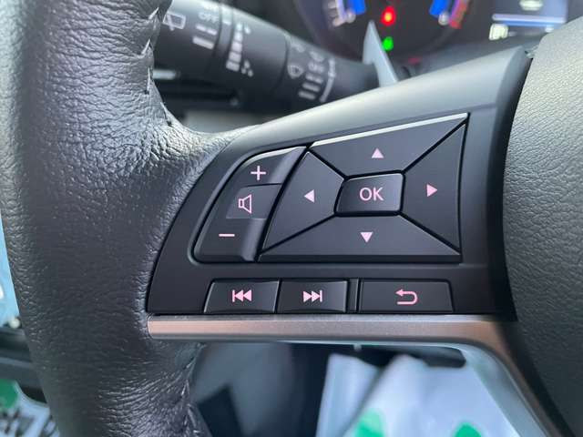 三菱 デリカ　ミニ ６６０ Ｇ プレミアム ４ＷＤ R6年 (北海道) 99