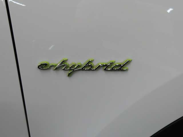 ポルシェ カイエン Ｓ Ｅ－ハイブリッド ティプトロニックＳ ４ＷＤ H27年 (関東) 99