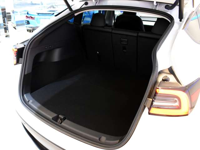 テスラ モデルＹ ロングレンジ R5年 (関東) 99