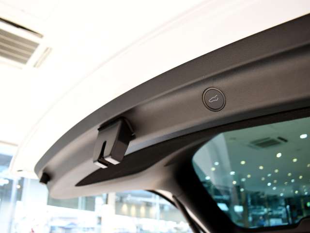 テスラ モデルＹ ロングレンジ R5年 (関東) 99