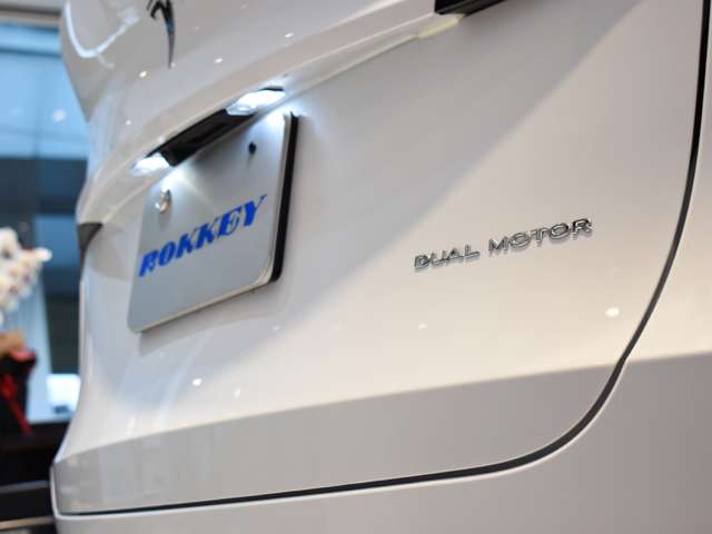 テスラ モデルＹ ロングレンジ R5年 (関東) 99