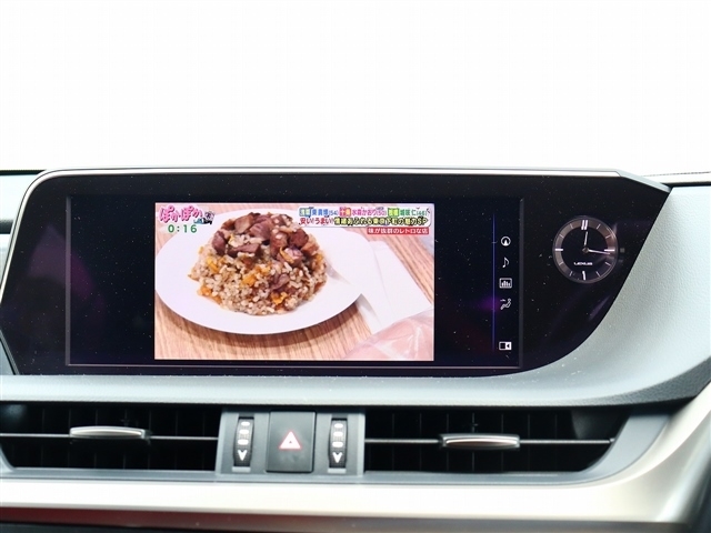 レクサス ＥＳ３００ｈ Ｆスポーツ R2年 (関東) 99