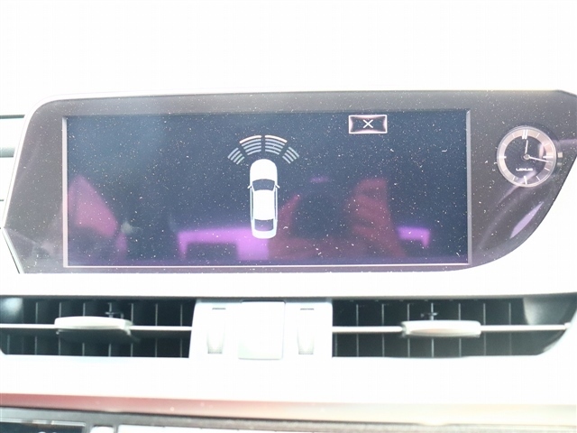 レクサス ＥＳ３００ｈ Ｆスポーツ R2年 (関東) 99