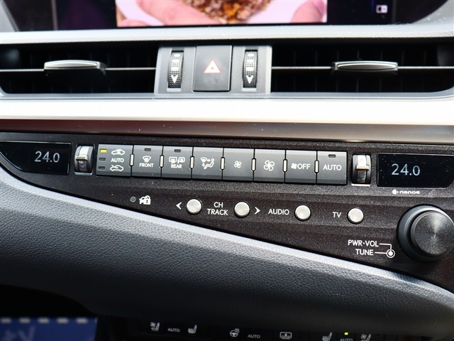 レクサス ＥＳ３００ｈ Ｆスポーツ R2年 (関東) 99