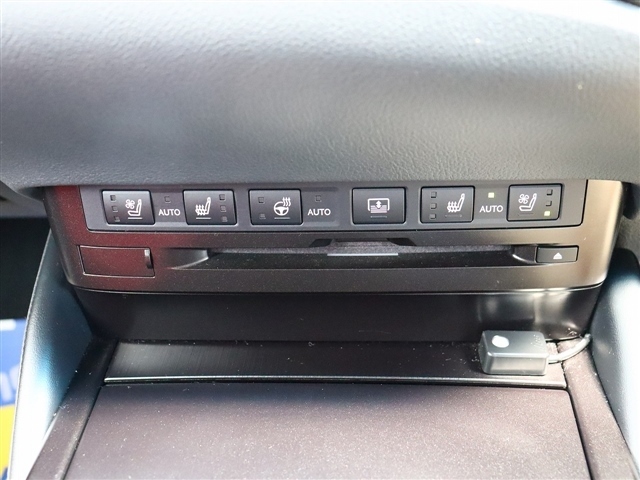 レクサス ＥＳ３００ｈ Ｆスポーツ R2年 (関東) 99