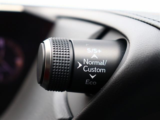 レクサス ＥＳ３００ｈ Ｆスポーツ R2年 (関東) 99