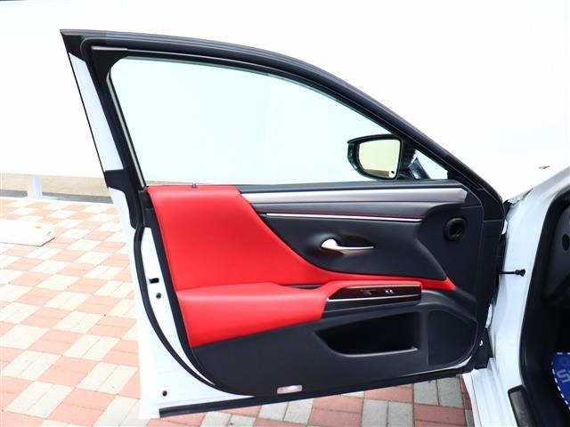 レクサス ＥＳ３００ｈ Ｆスポーツ R2年 (関東) 99