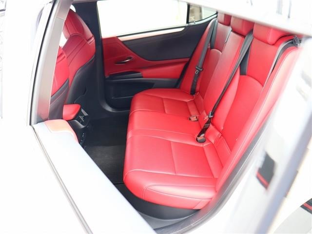 レクサス ＥＳ３００ｈ Ｆスポーツ R2年 (関東) 99