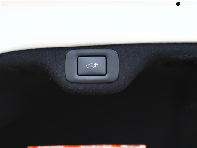 レクサス ＥＳ３００ｈ Ｆスポーツ R2年 (関東) 99