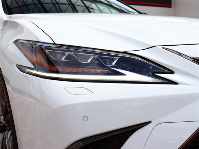 レクサス ＥＳ３００ｈ Ｆスポーツ R2年 (関東) 99