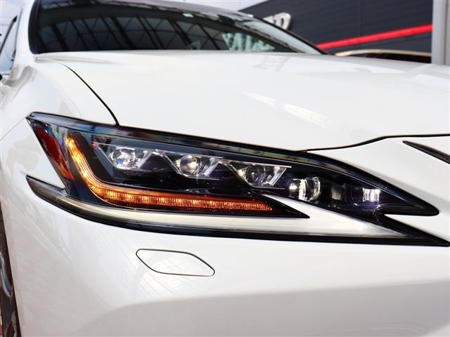 レクサス ＥＳ３００ｈ Ｆスポーツ R2年 (関東) 99