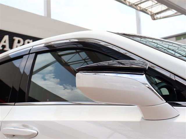 レクサス ＥＳ３００ｈ Ｆスポーツ R2年 (関東) 99