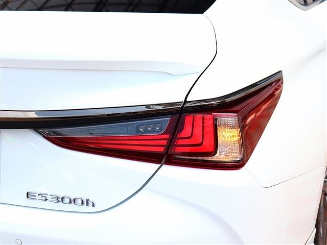 レクサス ＥＳ３００ｈ Ｆスポーツ R2年 (関東) 99